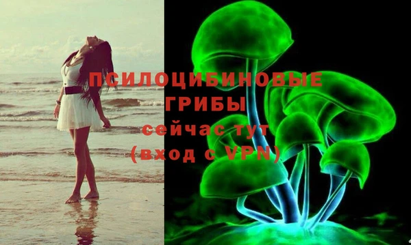 ешки Елизово